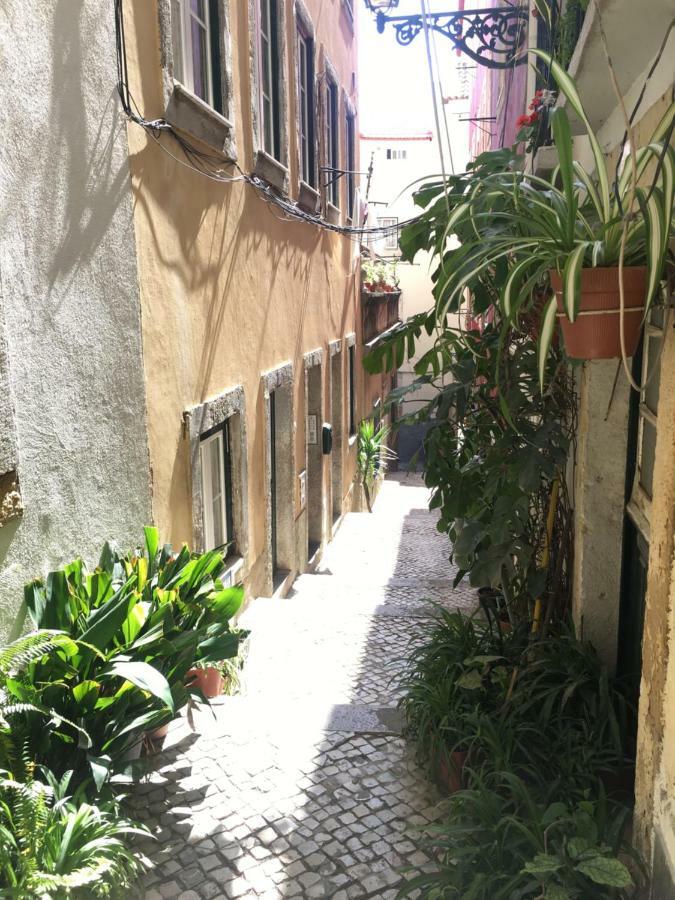 ליסבון Casa Da Saudade, A Cozy Apartment In Alfama מראה חיצוני תמונה